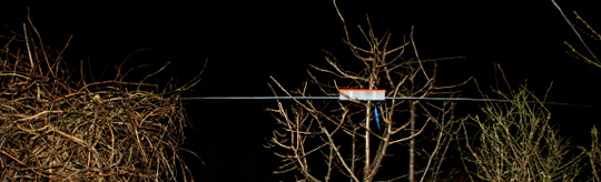 Plastikantenne_6