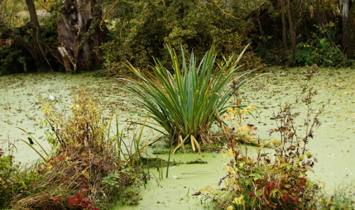 Ein Teich auf Etage 328 (Deuschland) bei Mittagsbeleuchtung.